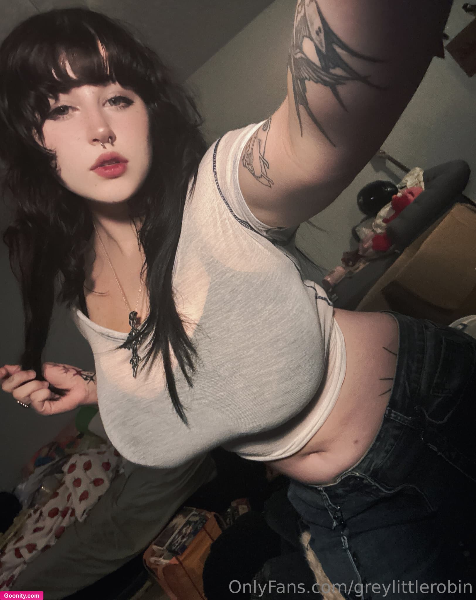 greylittlerobin - Photo 5