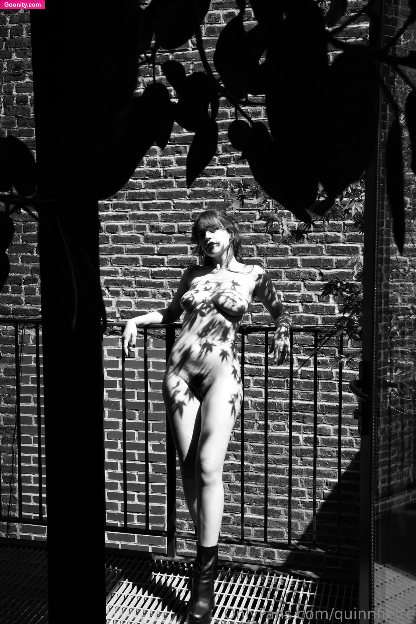 Quinn Finite photo 12