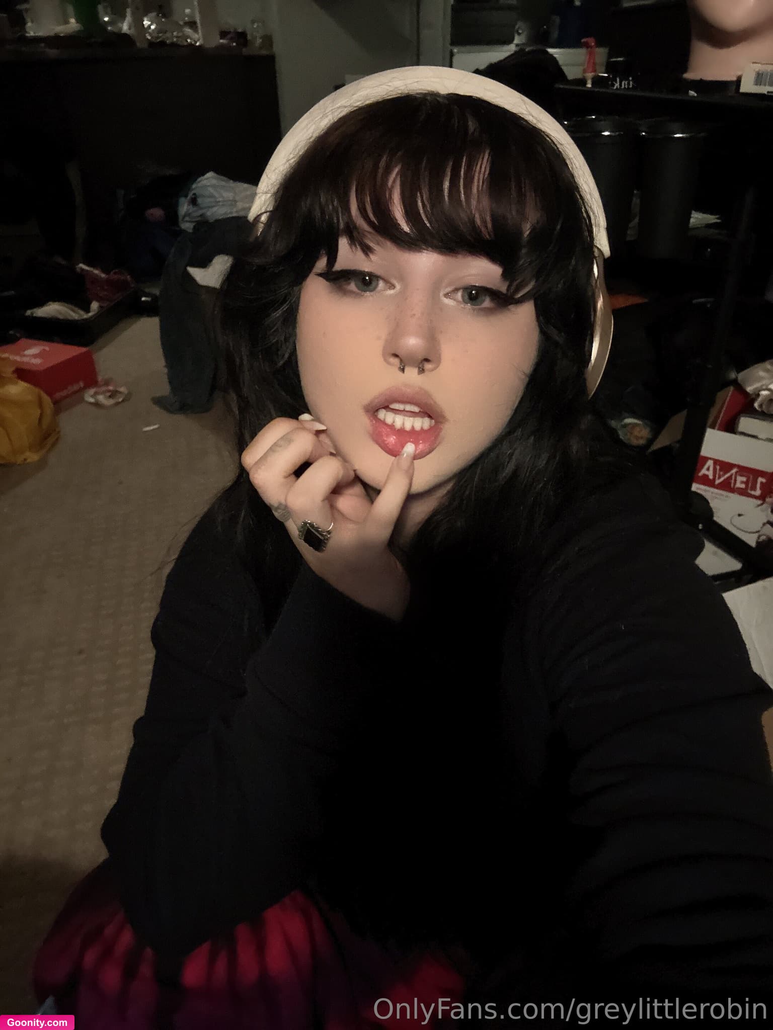 greylittlerobin - Photo 11
