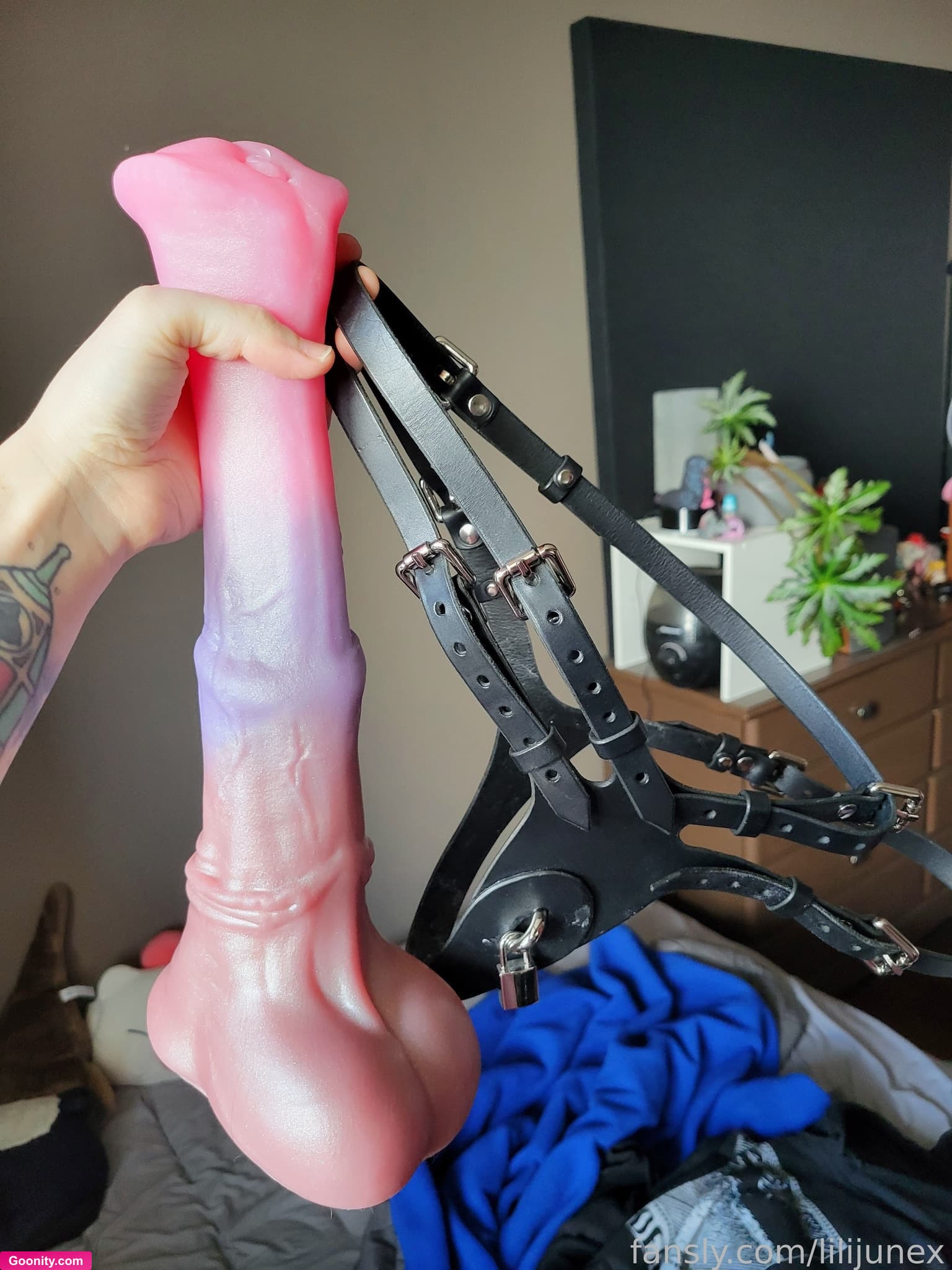 lilijunex photo 156