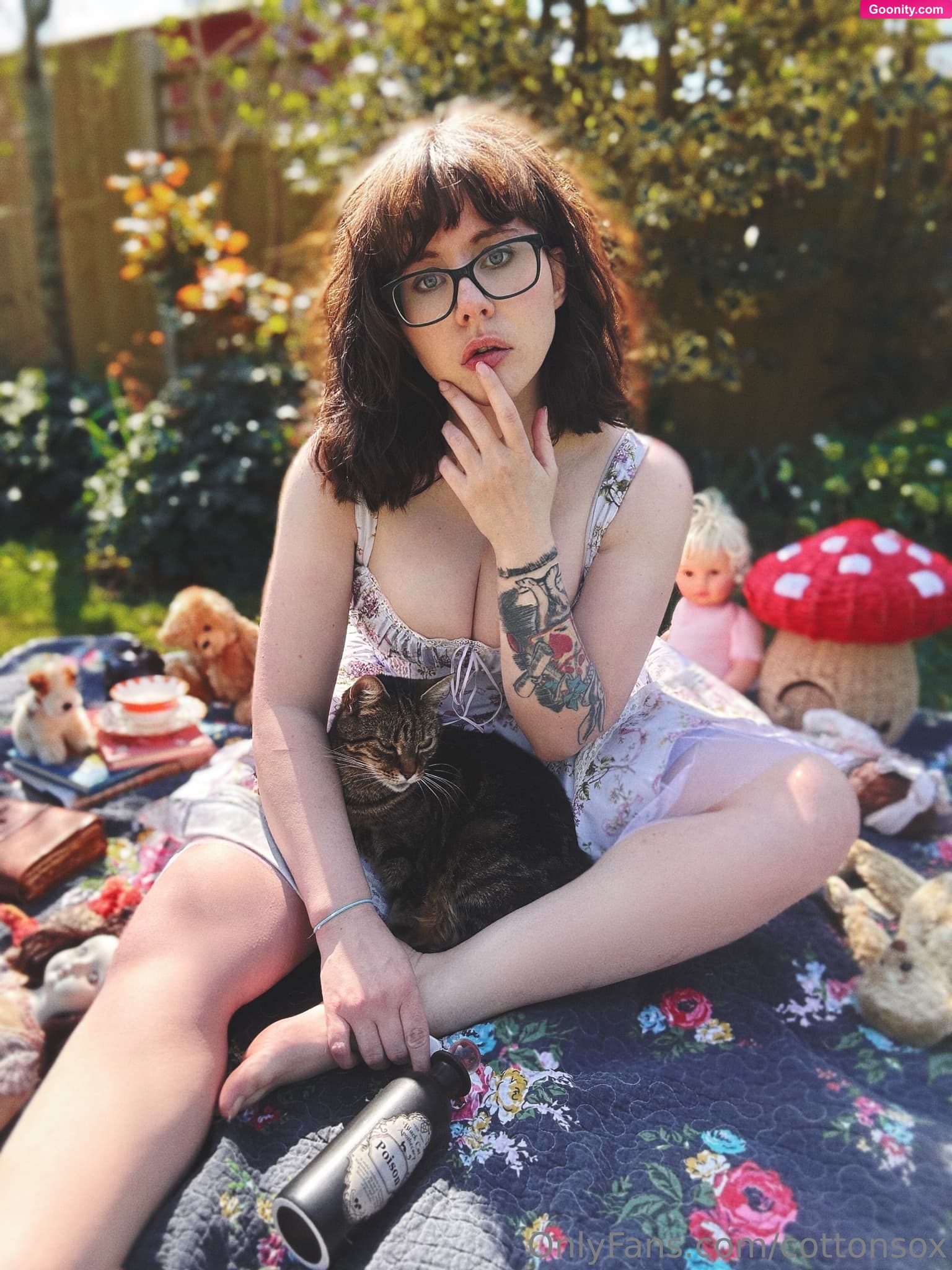 Alice CottonSox photo 41