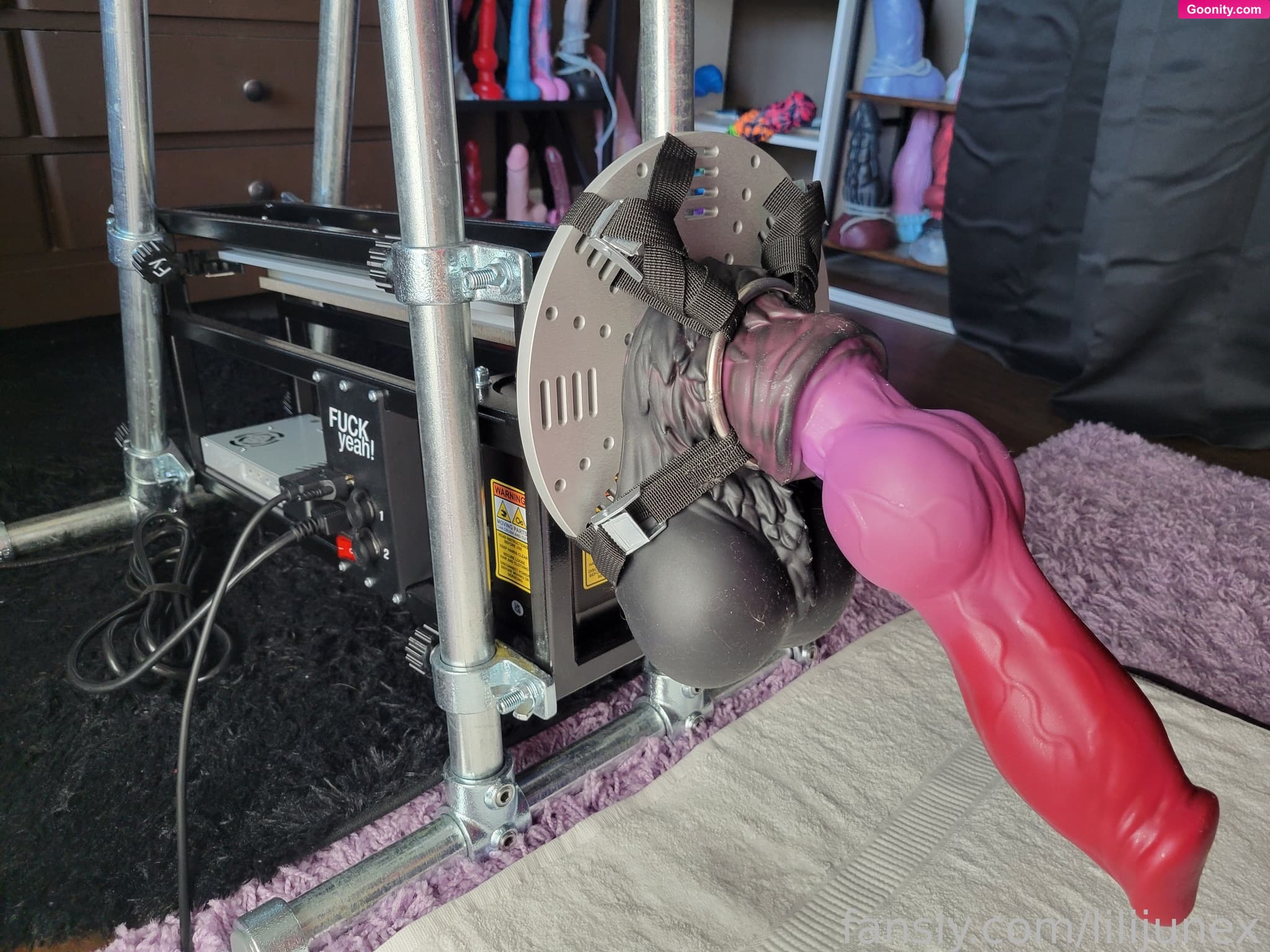 lilijunex photo 122