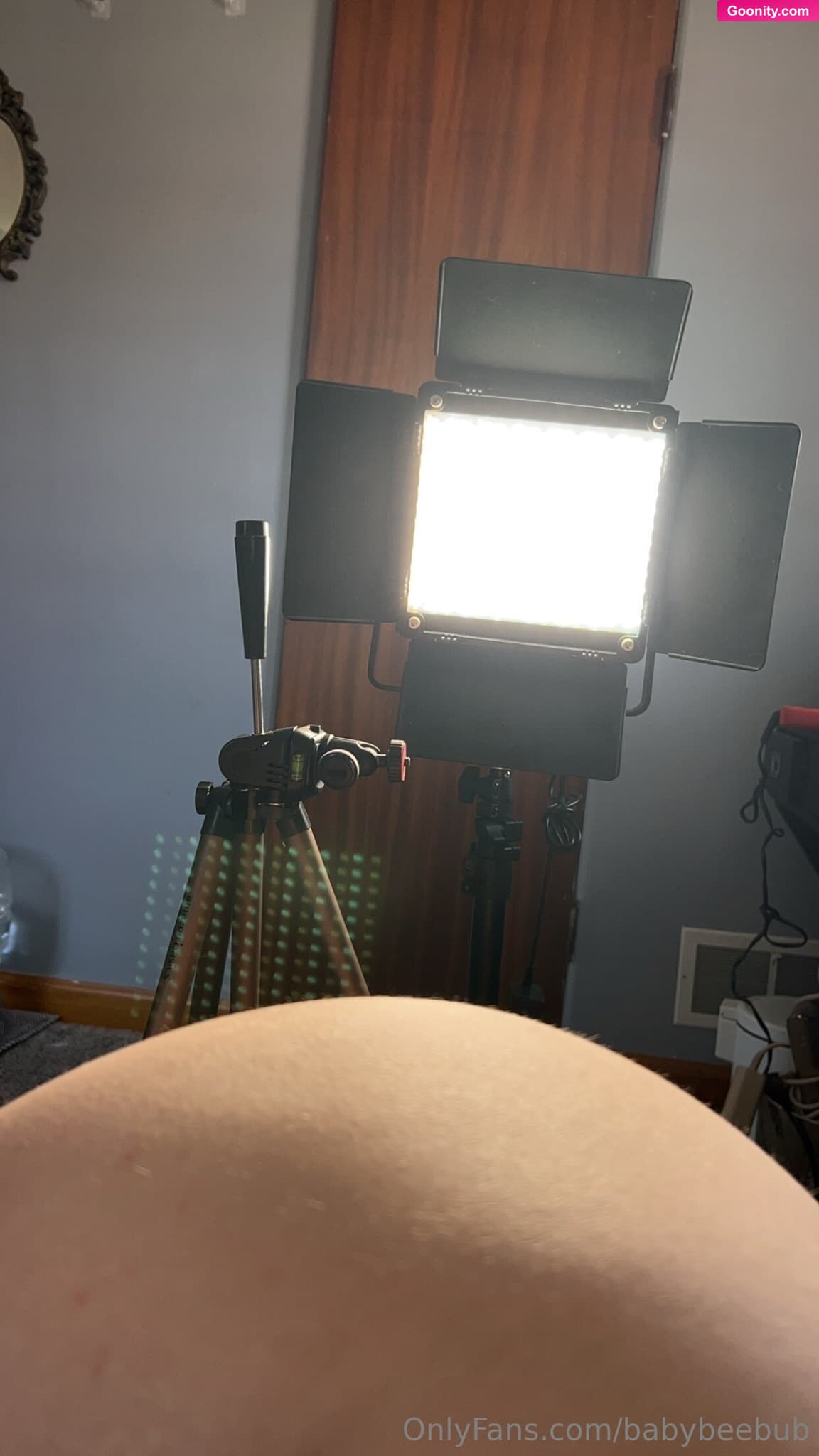 BabyBeeBub 🦇 photo 13