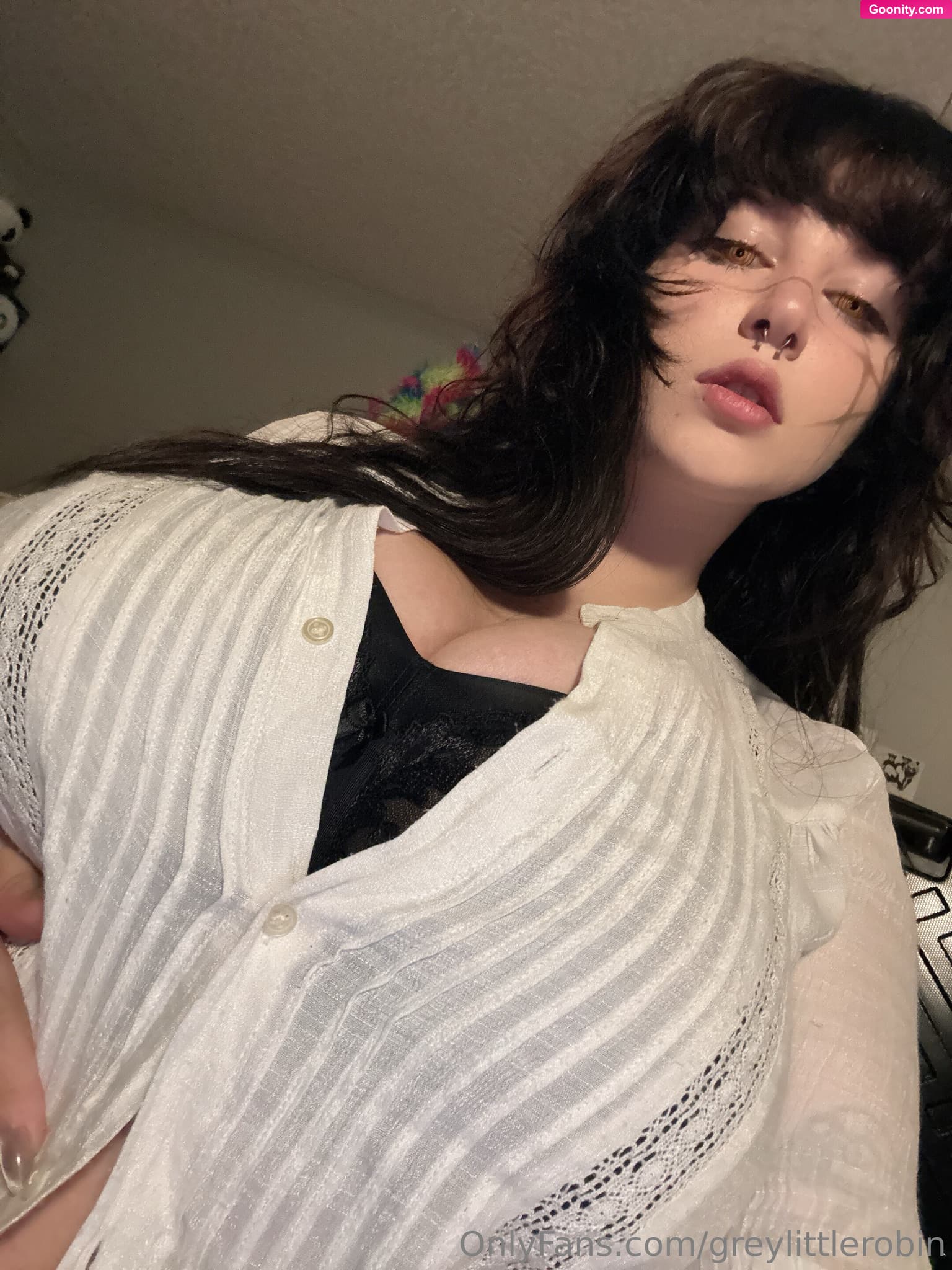 greylittlerobin - Photo 3