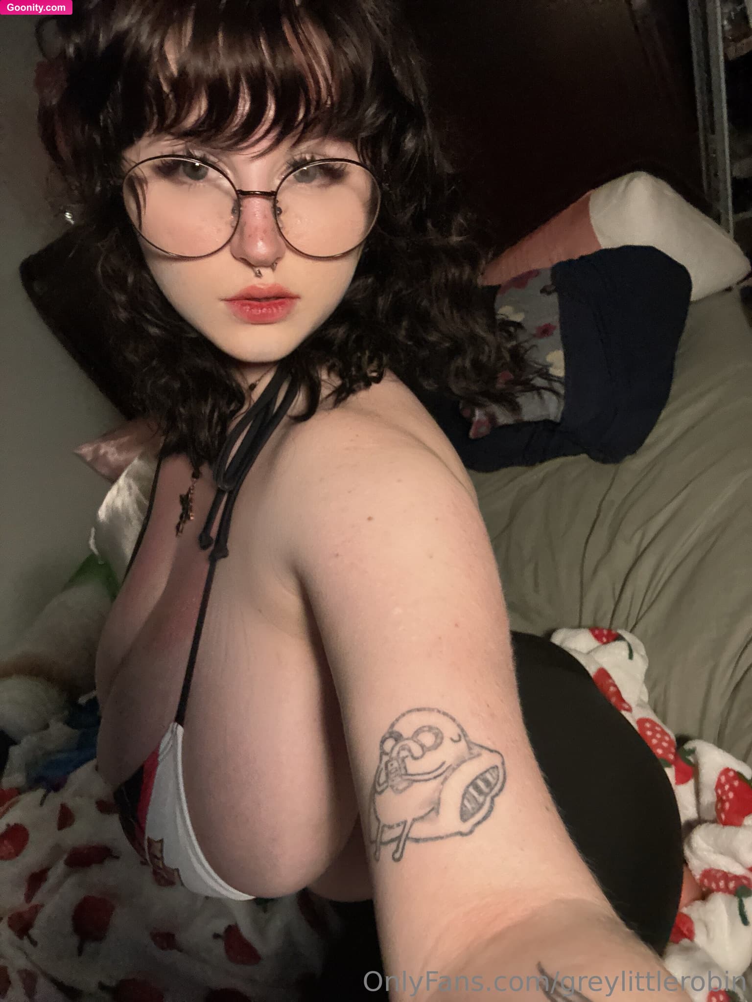 greylittlerobin - Photo 9
