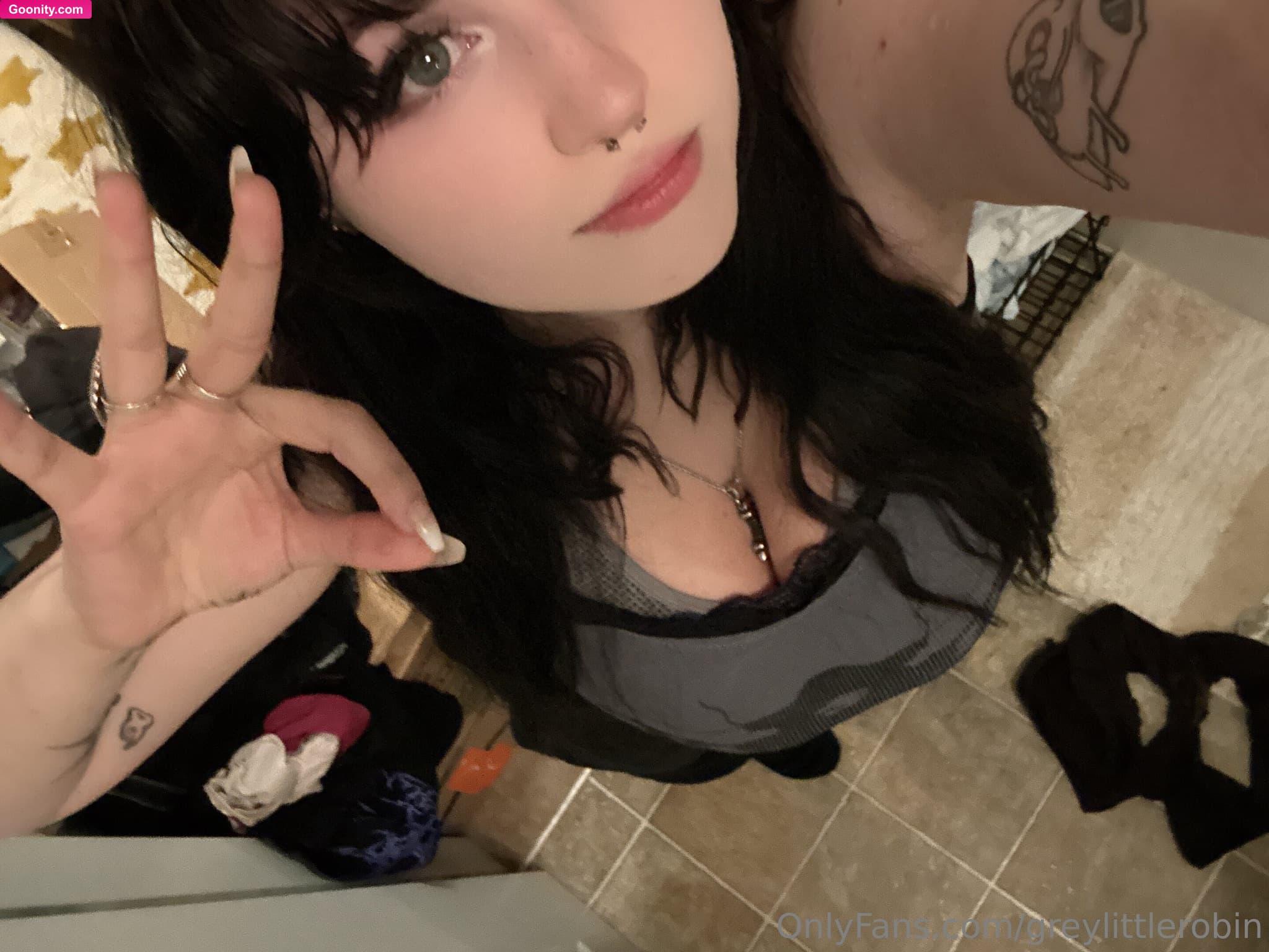 greylittlerobin - Photo 10