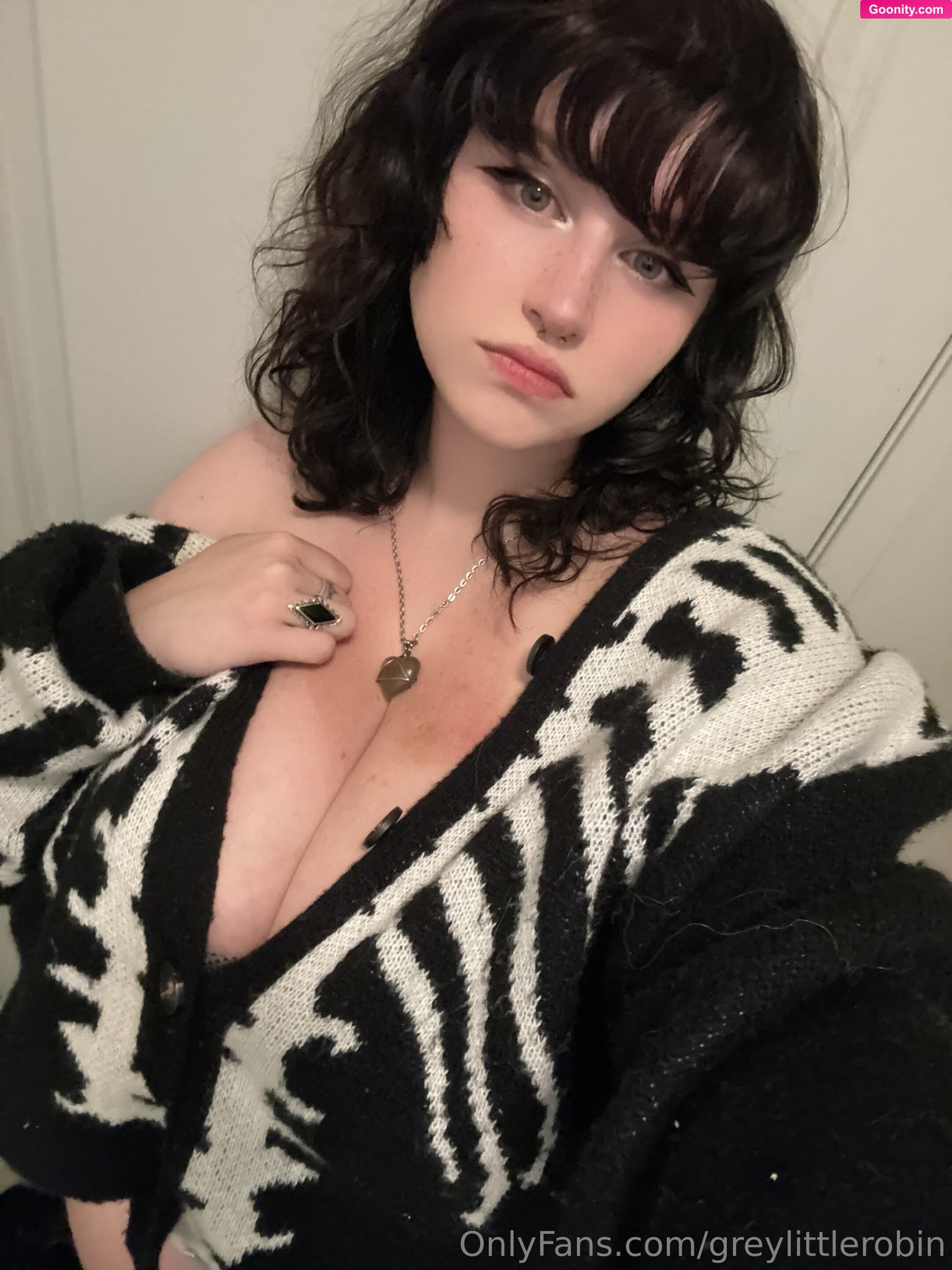 greylittlerobin - Photo 12